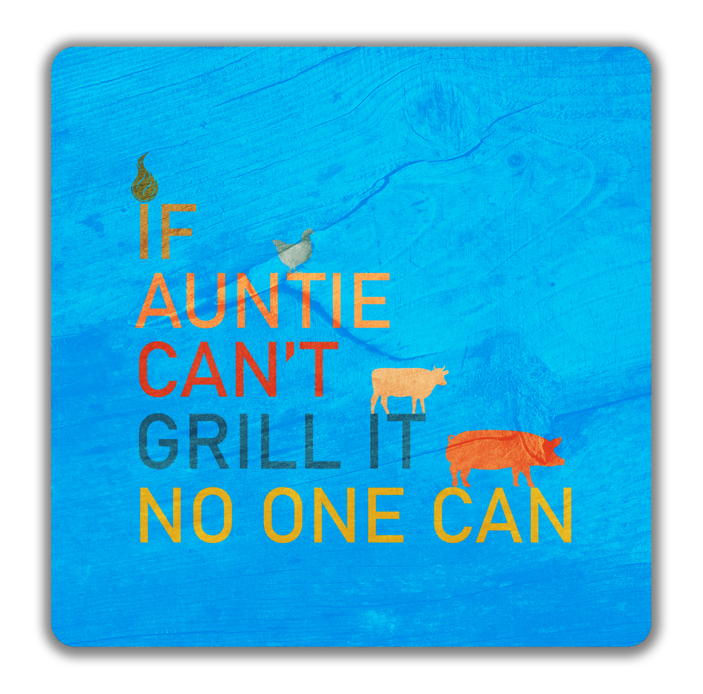 Funny BBQ 2 Pack Drinks Coasters If Auntie Can t Grill No One Can