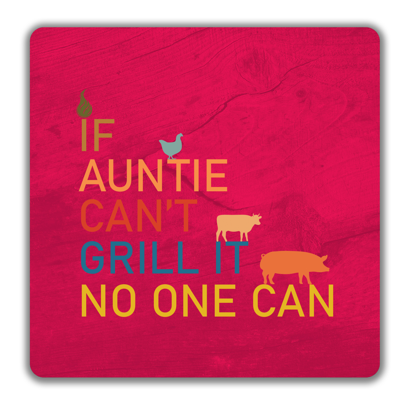 Funny BBQ 2 Pack Drinks Coasters If Auntie Can t Grill No One Can