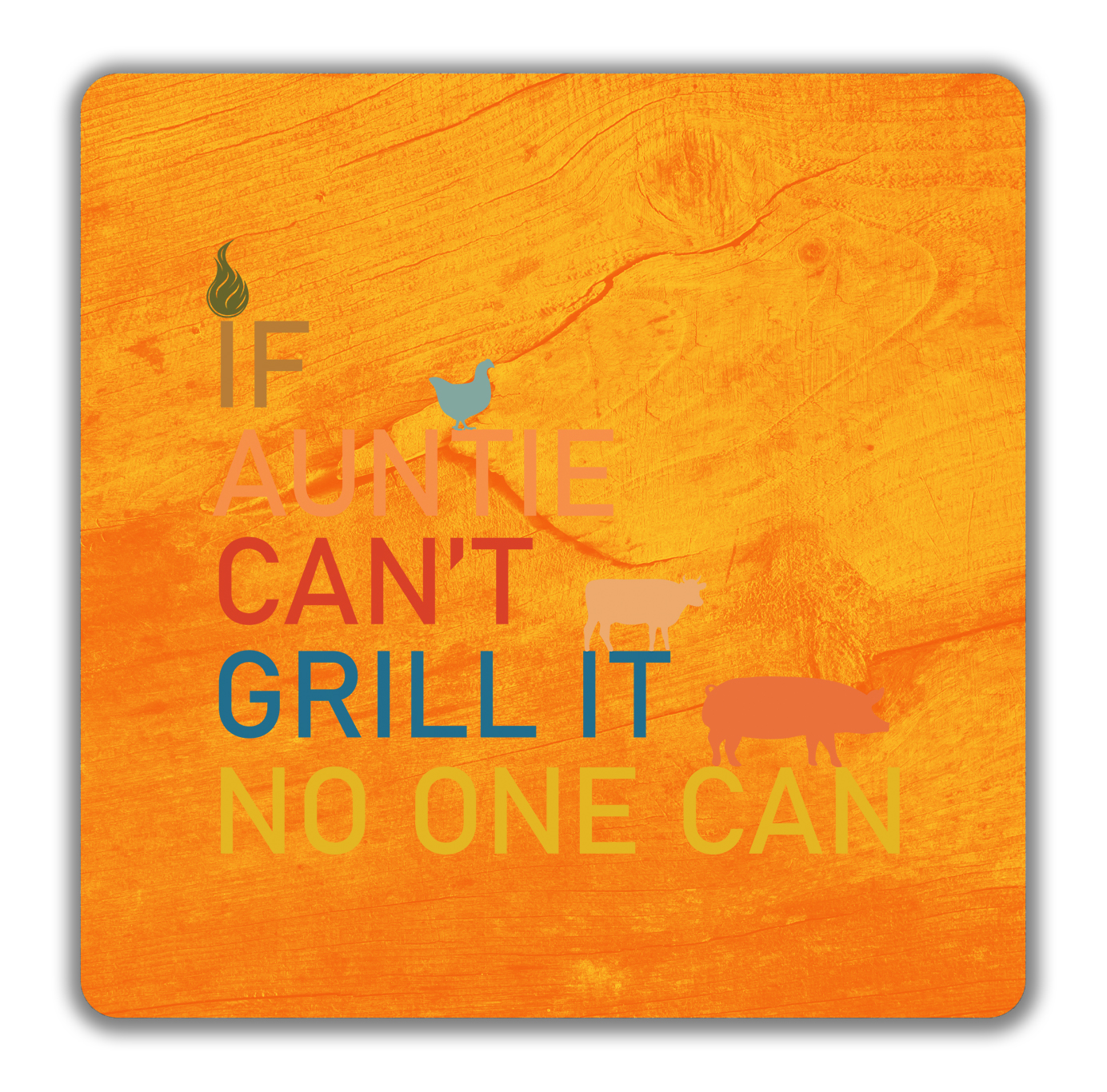 Funny BBQ 2 Pack Drinks Coasters If Auntie Can t Grill No One Can